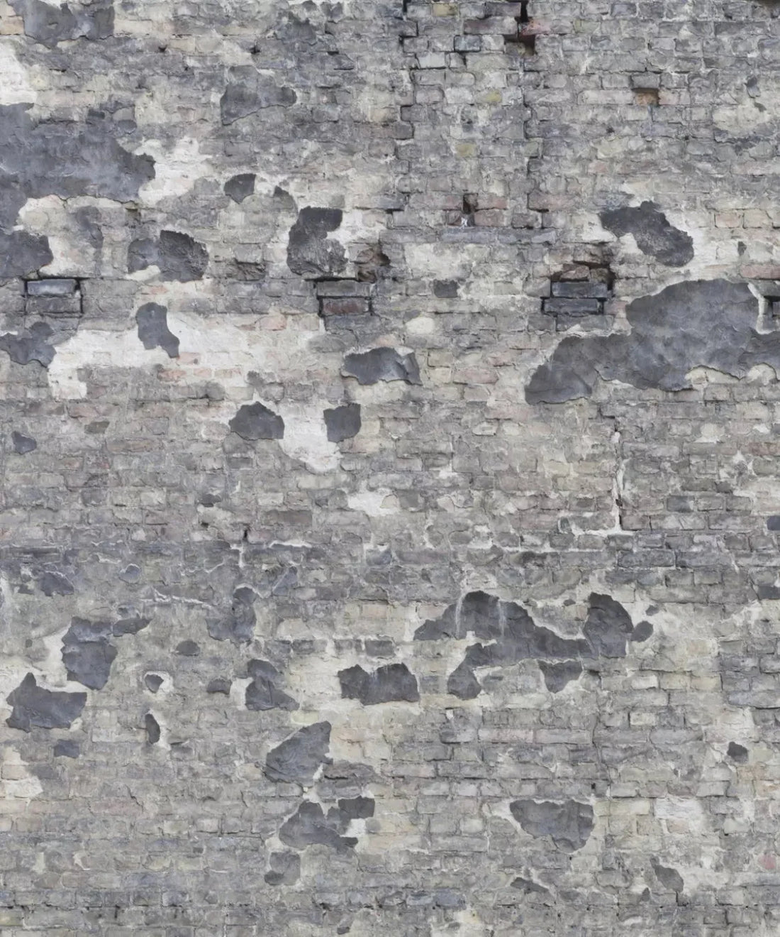 Gray Brick and Stone Backdrop for Photography