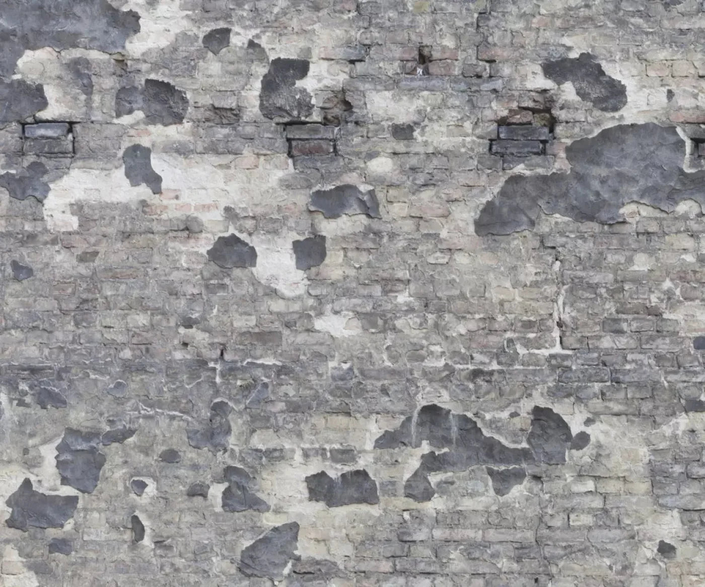 Wonderwall 5X42 Fleece ( 60 X 50 Inch ) Backdrop