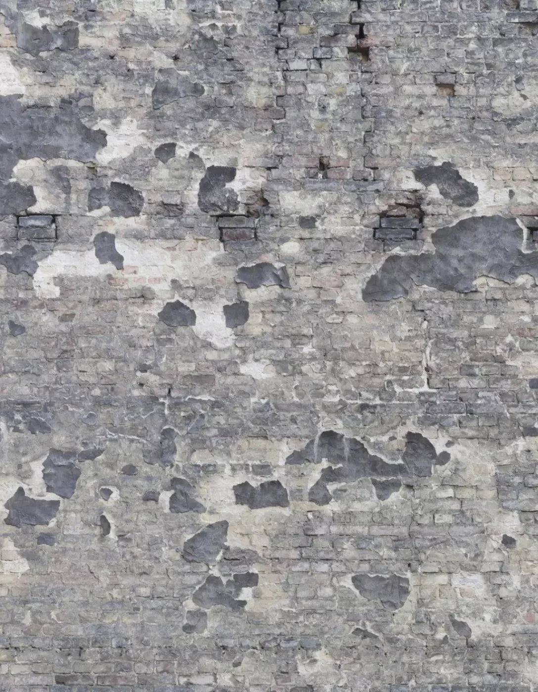 Wonderwall 6X8 Fleece ( 72 X 96 Inch ) Backdrop
