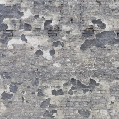 Wonderwall 8X8 Fleece ( 96 X Inch ) Backdrop