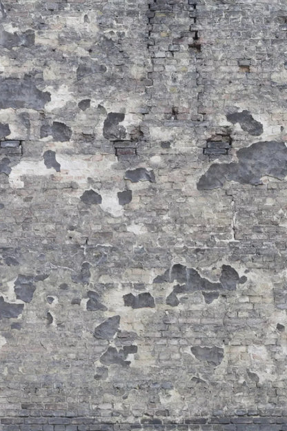 Wonderwall Backdrop