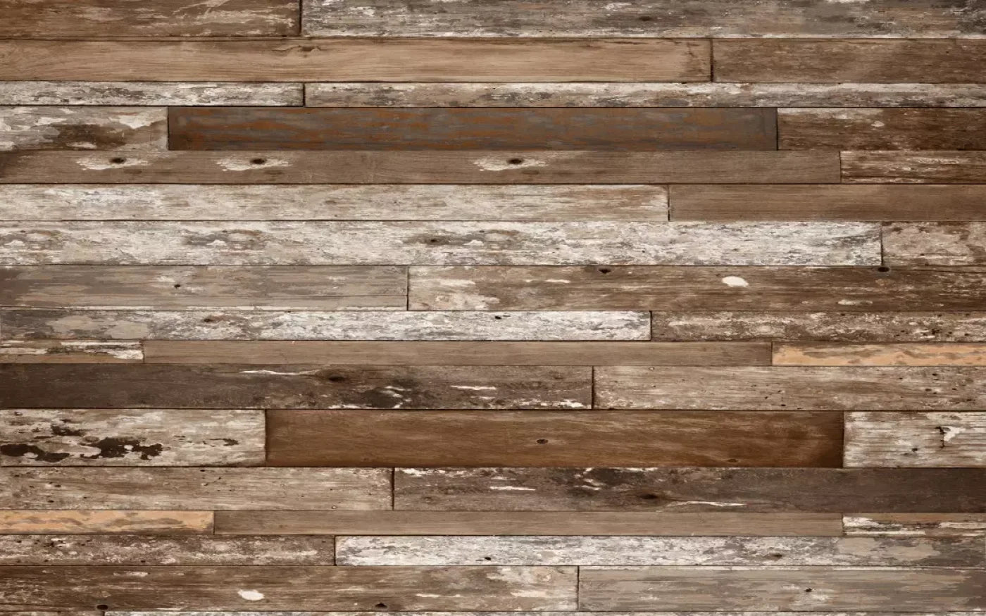 Wooded 14’X9’ Ultracloth (168 X 108 Inch) Backdrop