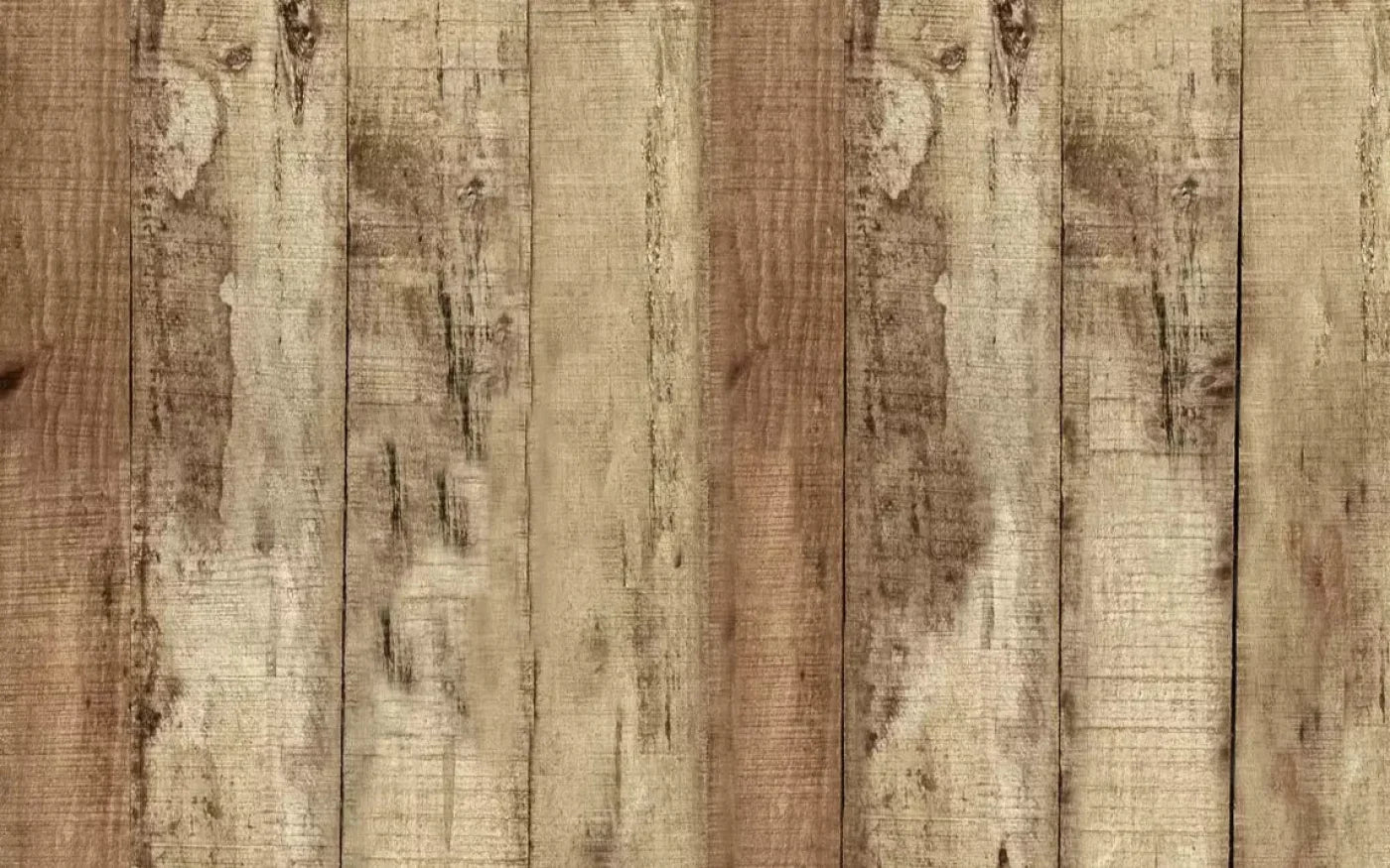 Woodlot 14X9 Ultracloth ( 168 X 108 Inch ) Backdrop