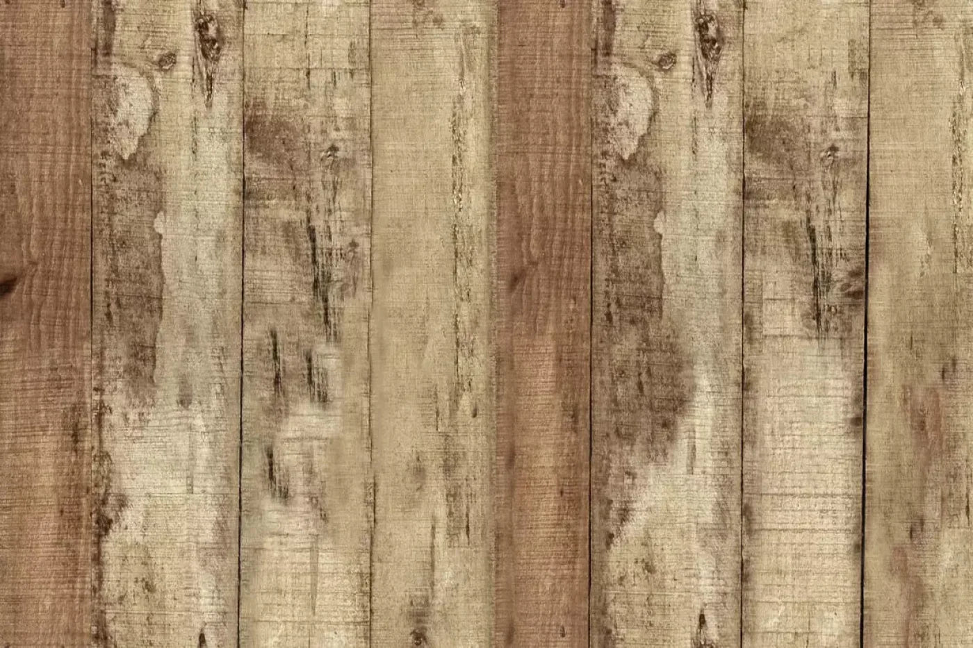 Woodlot 8X5 Ultracloth ( 96 X 60 Inch ) Backdrop