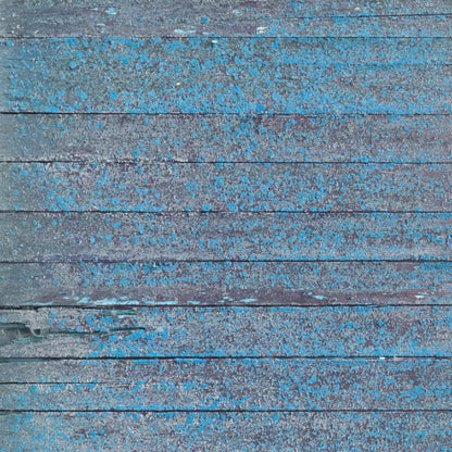 Woodsen Blue 10X10 Ultracloth ( 120 X Inch ) Backdrop