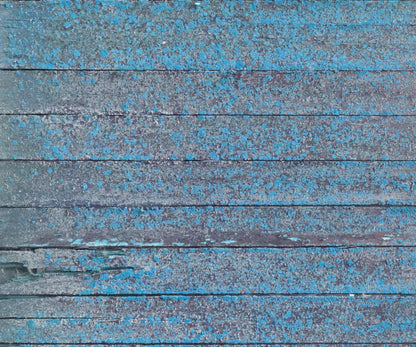 Woodsen Blue 5X42 Fleece ( 60 X 50 Inch ) Backdrop