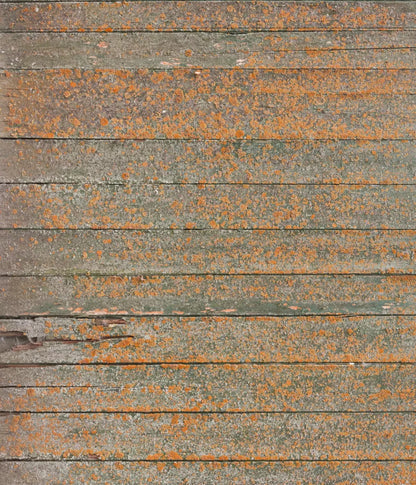 Woodsen Orange 10X12 Ultracloth ( 120 X 144 Inch ) Backdrop