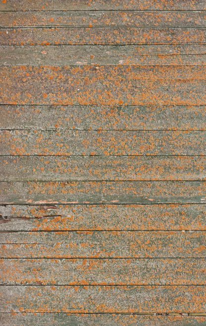 Woodsen Orange 10X16 Ultracloth ( 120 X 192 Inch ) Backdrop