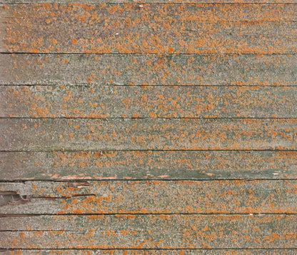 Woodsen Orange 12X10 Ultracloth ( 144 X 120 Inch ) Backdrop
