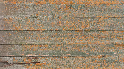 Woodsen Orange 14X8 Ultracloth ( 168 X 96 Inch ) Backdrop