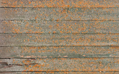 Woodsen Orange 14X9 Ultracloth ( 168 X 108 Inch ) Backdrop
