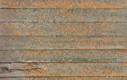 Woodsen Orange 16X10 Ultracloth ( 192 X 120 Inch ) Backdrop