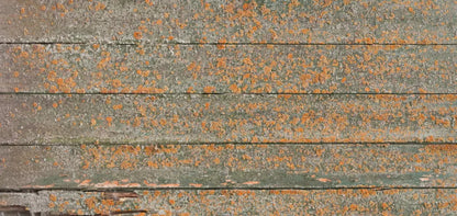 Woodsen Orange 16X8 Ultracloth ( 192 X 96 Inch ) Backdrop