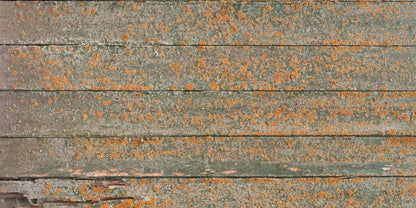 Woodsen Orange 20X10 Ultracloth ( 240 X 120 Inch ) Backdrop