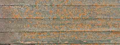 Woodsen Orange 20X8 Ultracloth ( 240 X 96 Inch ) Backdrop