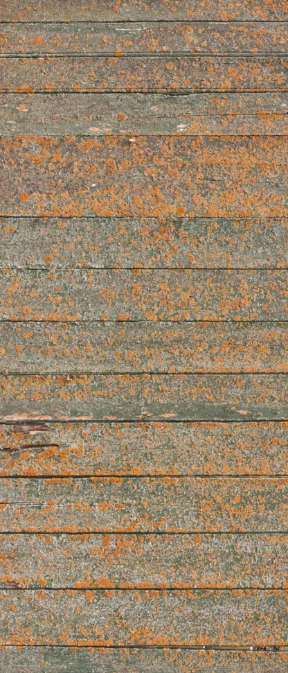 Woodsen Orange 5X12 Ultracloth For Westcott X-Drop ( 60 X 144 Inch ) Backdrop