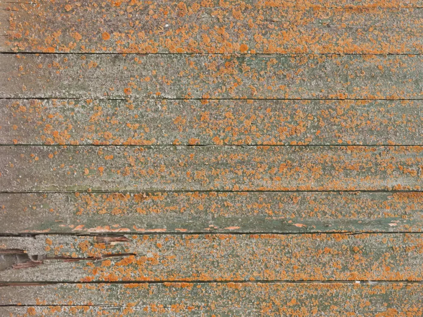 Woodsen Orange 68X5 Fleece ( 80 X 60 Inch ) Backdrop