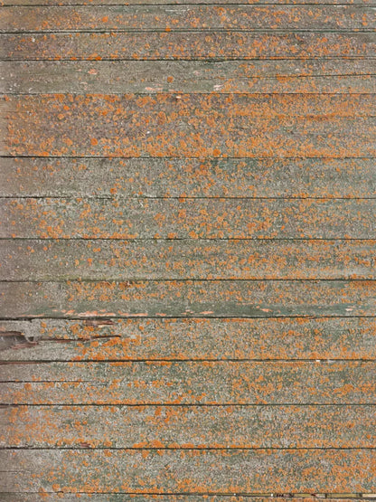 Woodsen Orange 8X10 Fleece ( 96 X 120 Inch ) Backdrop