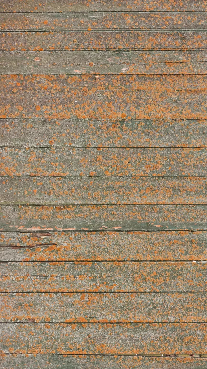 Woodsen Orange 8X14 Ultracloth ( 96 X 168 Inch ) Backdrop