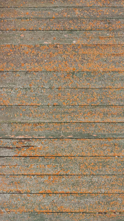 Woodsen Orange 8X14 Ultracloth ( 96 X 168 Inch ) Backdrop
