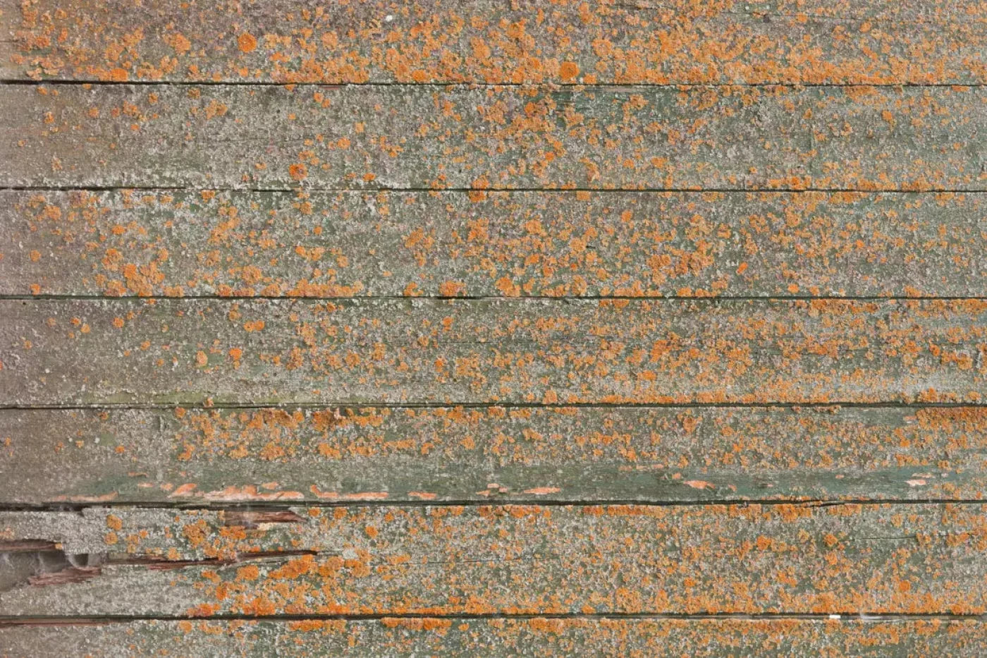Woodsen Orange 8X5 Ultracloth ( 96 X 60 Inch ) Backdrop