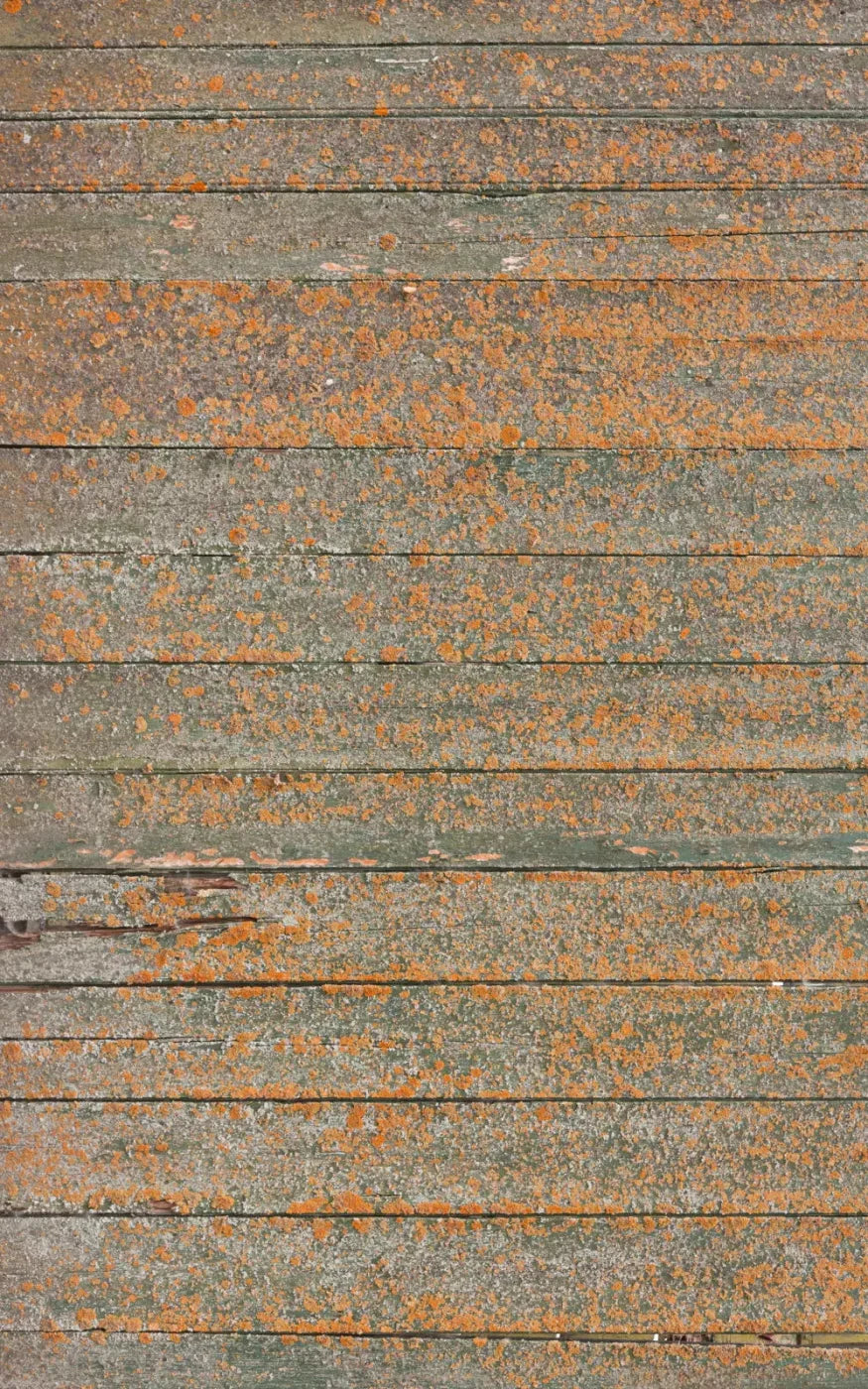 Woodsen Orange 9X14 Ultracloth ( 108 X 168 Inch ) Backdrop
