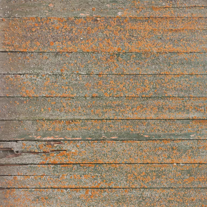 Woodsen Orange Backdrop