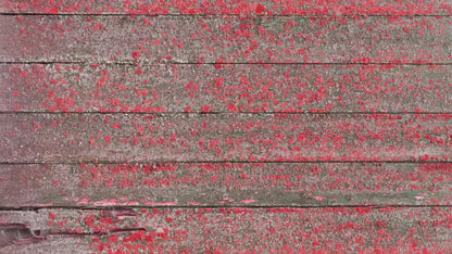 Woodsen Pink 14X8 Ultracloth ( 168 X 96 Inch ) Backdrop