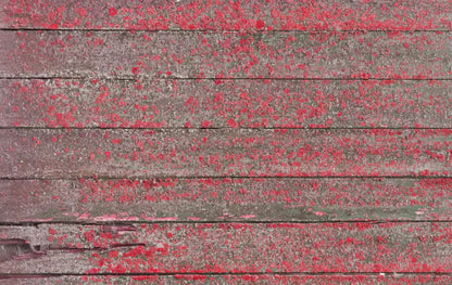Woodsen Pink 16X10 Ultracloth ( 192 X 120 Inch ) Backdrop