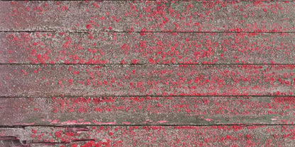 Woodsen Pink 20X10 Ultracloth ( 240 X 120 Inch ) Backdrop