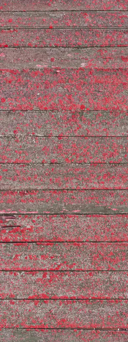 Woodsen Pink 8X20 Ultracloth ( 96 X 240 Inch ) Backdrop