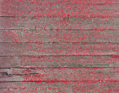 Woodsen Pink 8X6 Fleece ( 96 X 72 Inch ) Backdrop