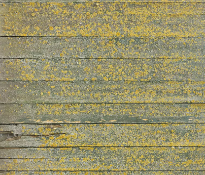 Woodsen Yellow 12X10 Ultracloth ( 144 X 120 Inch ) Backdrop