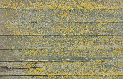 Woodsen Yellow 12X8 Ultracloth ( 144 X 96 Inch ) Backdrop