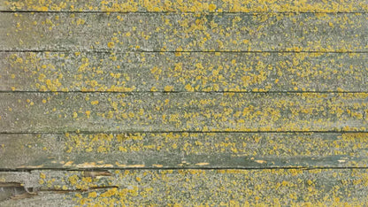 Woodsen Yellow 14X8 Ultracloth ( 168 X 96 Inch ) Backdrop