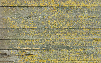 Woodsen Yellow 14X9 Ultracloth ( 168 X 108 Inch ) Backdrop