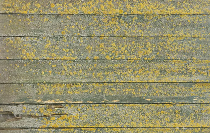 Woodsen Yellow 16X10 Ultracloth ( 192 X 120 Inch ) Backdrop