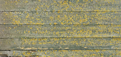 Woodsen Yellow 16X8 Ultracloth ( 192 X 96 Inch ) Backdrop