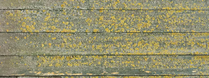 Woodsen Yellow 20X8 Ultracloth ( 240 X 96 Inch ) Backdrop