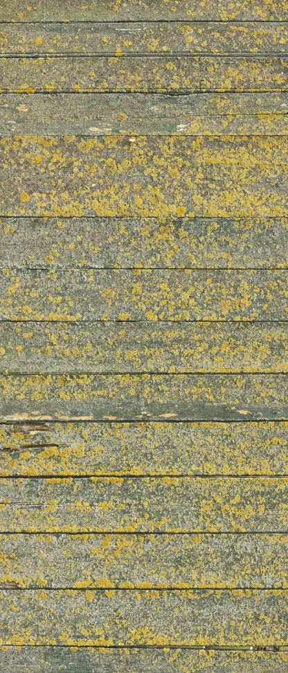 Woodsen Yellow 5X12 Ultracloth For Westcott X-Drop ( 60 X 144 Inch ) Backdrop