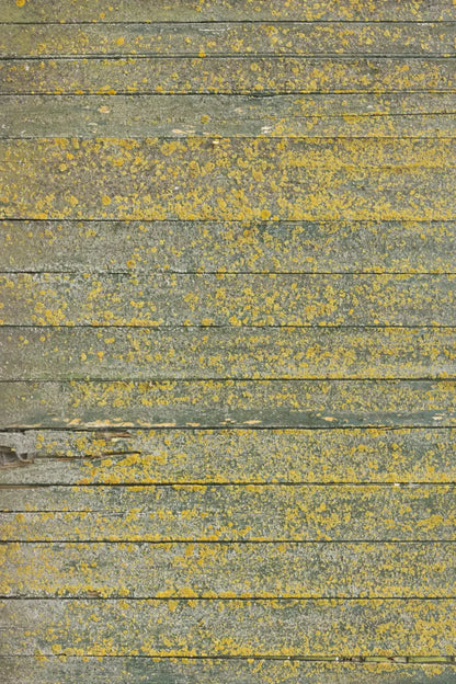Woodsen Yellow 5X8 Ultracloth ( 60 X 96 Inch ) Backdrop