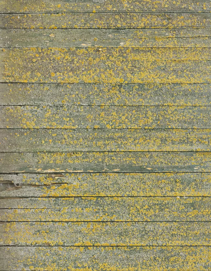Woodsen Yellow 6X8 Fleece ( 72 X 96 Inch ) Backdrop