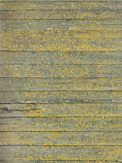 Woodsen Yellow 8X10 Fleece ( 96 X 120 Inch ) Backdrop