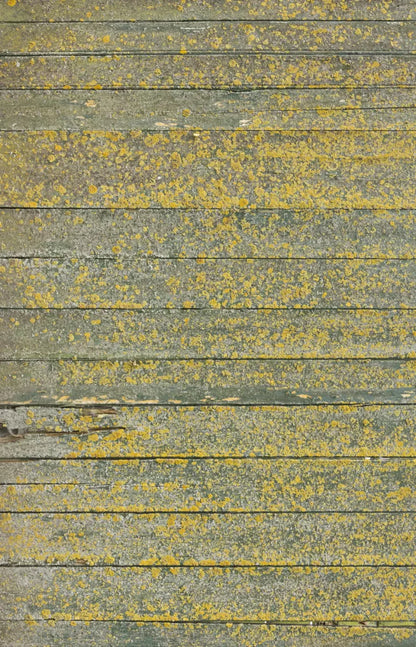 Woodsen Yellow 8X12 Ultracloth ( 96 X 144 Inch ) Backdrop
