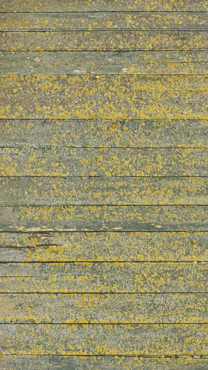 Woodsen Yellow 8X14 Ultracloth ( 96 X 168 Inch ) Backdrop