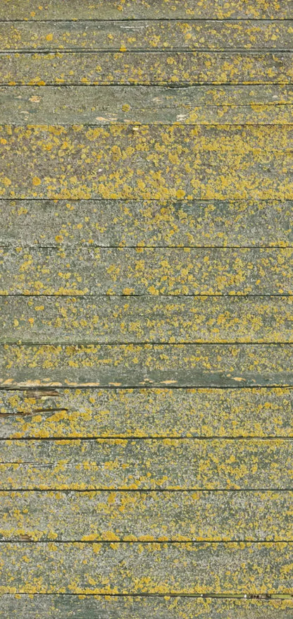 Woodsen Yellow 8X16 Ultracloth ( 96 X 192 Inch ) Backdrop