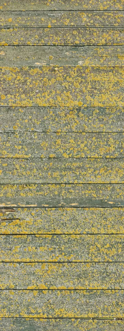 Woodsen Yellow 8X20 Ultracloth ( 96 X 240 Inch ) Backdrop