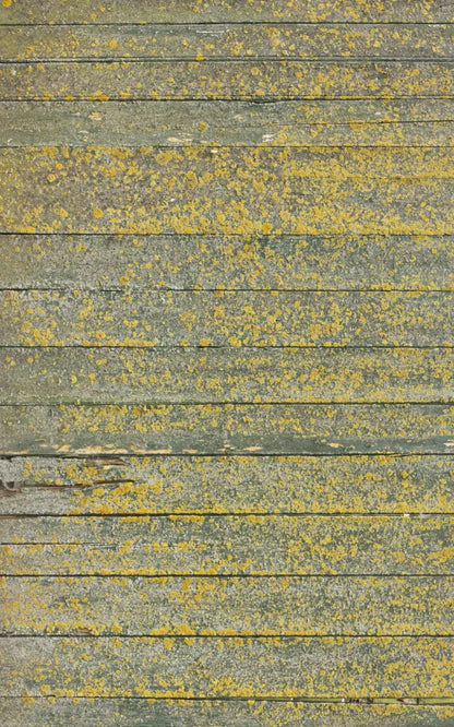 Woodsen Yellow 9X14 Ultracloth ( 108 X 168 Inch ) Backdrop