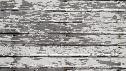 Woodshed 14X8 Ultracloth ( 168 X 96 Inch ) Backdrop