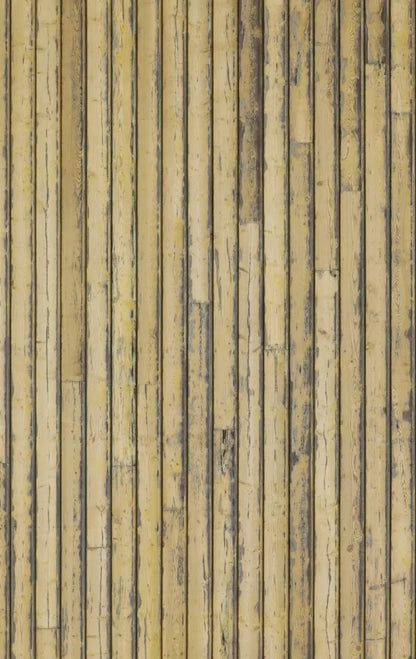 Woodstock 10X16 Ultracloth ( 120 X 192 Inch ) Backdrop